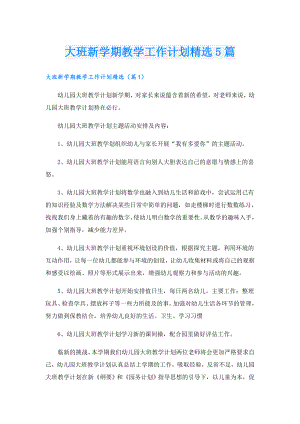 大班新学期教学工作计划精选5篇.doc
