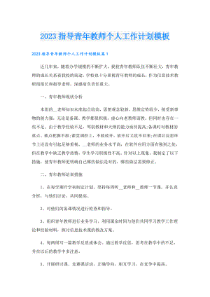 2023指导青年教师个人工作计划模板.doc