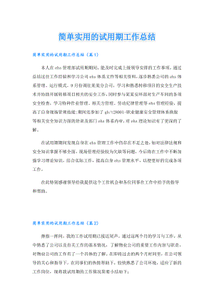 简单实用的试用期工作总结.doc