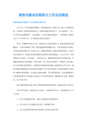 销售内勤试用期转正工作总结精选.doc