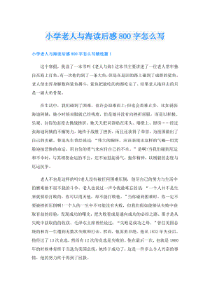 小学老人与海读后感800字怎么写.doc