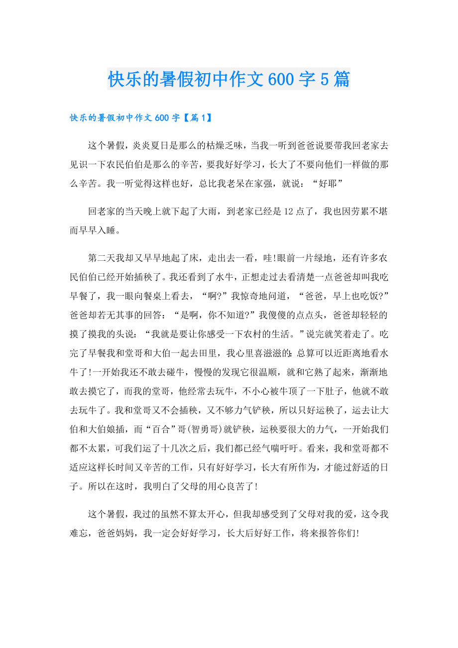 快乐的暑假初中作文600字5篇.doc