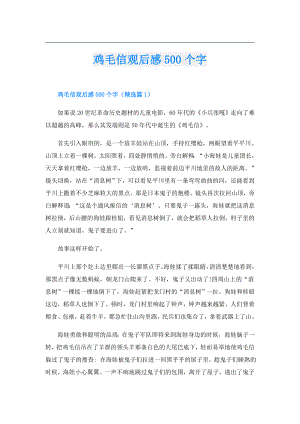 鸡毛信观后感500个字.doc