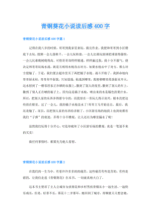 青铜葵花小说读后感400字.doc