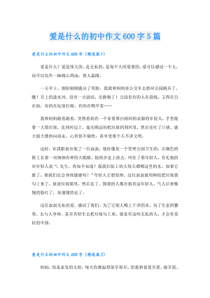 爱是什么的初中作文600字5篇.doc