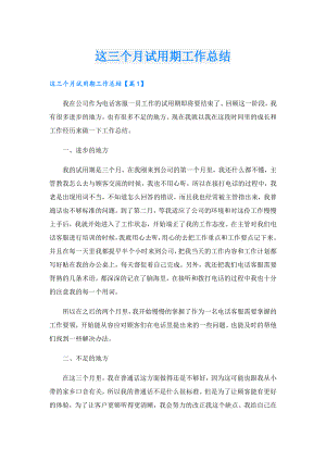 这三个月试用期工作总结.doc