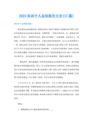 2023实训个人总结报告大全(11篇).doc