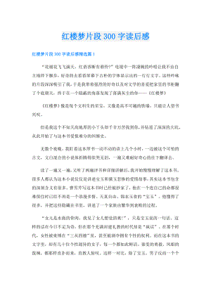 红楼梦片段300字读后感.doc