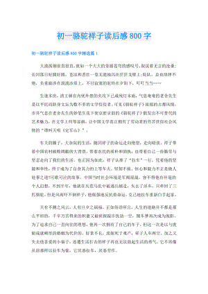 初一骆驼祥子读后感800字.doc