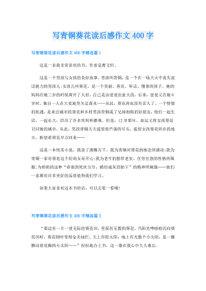 写青铜葵花读后感作文400字.doc