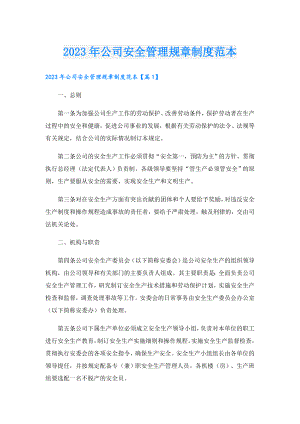 2023年公司安全管理规章制度范本.doc