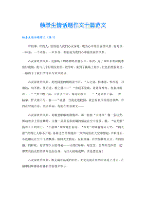 触景生情话题作文十篇范文.doc