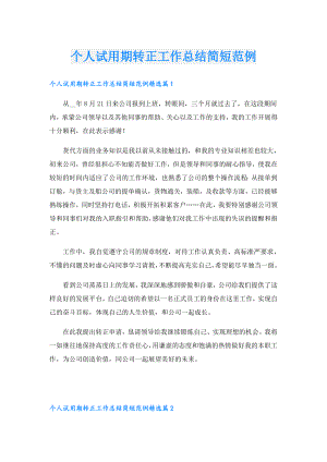 个人试用期转正工作总结简短范例.doc