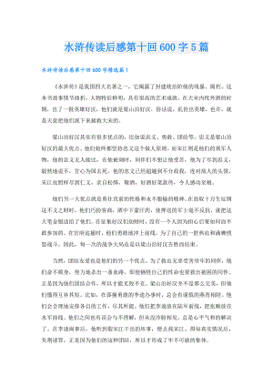 水浒传读后感第十回600字5篇.doc