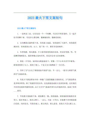 2023最火下雪文案短句.doc