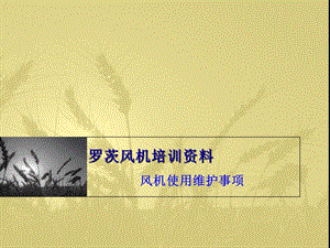 罗茨风机培训资料.ppt
