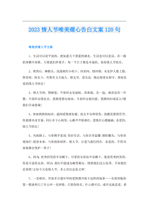 2023情人节唯美暖心告白文案120句.doc
