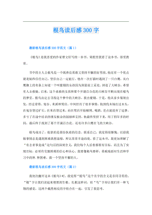 根鸟读后感300字.doc