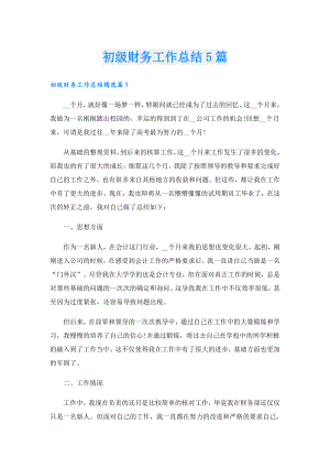 初级财务工作总结5篇.doc
