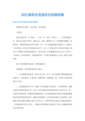 2023副科长竞选科长的演讲稿.doc