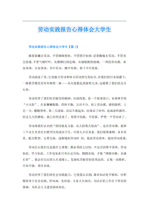 劳动实践报告心得体会大学生.doc