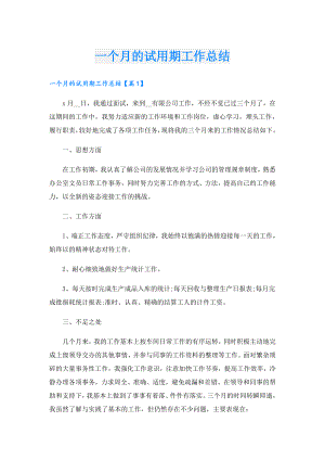 一个月的试用期工作总结.doc