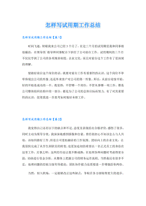 怎样写试用期工作总结.doc