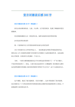 堂吉诃德读后感300字.doc