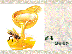 老字号蜂蜜调查报告.ppt