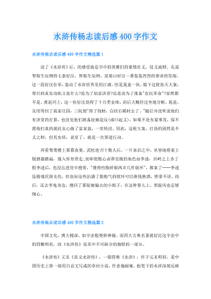 水浒传杨志读后感400字作文.doc