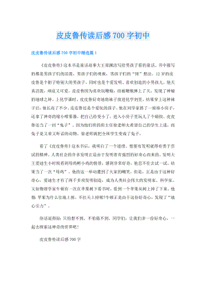 皮皮鲁传读后感700字初中.doc