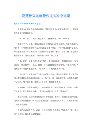 爱是什么九年级作文600字5篇.doc