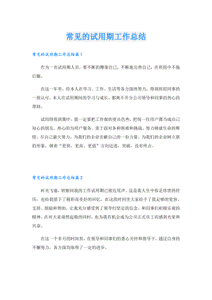 常见的试用期工作总结.doc
