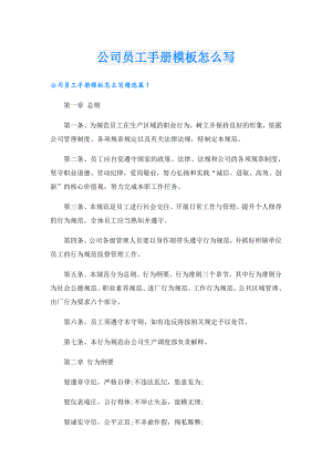 公司员工手册模板怎么写.doc