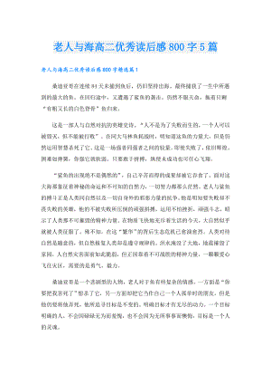 老人与海高二优秀读后感800字5篇.doc