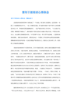 青年干部培训心得体会.doc