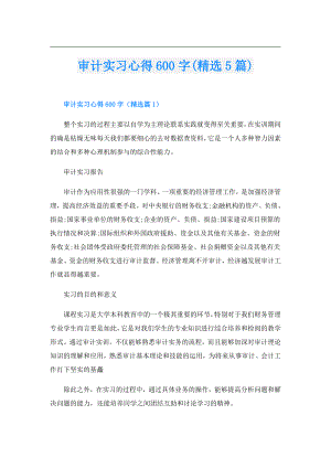 审计实习心得600字(精选5篇).doc