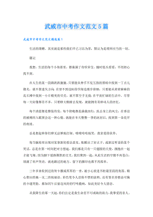 武威市中考作文范文5篇.doc