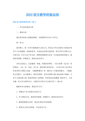 2023语文教学经验总结.doc