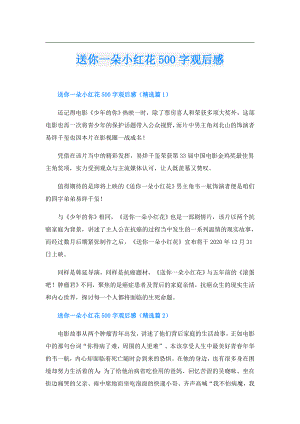 送你一朵小红花500字观后感.doc