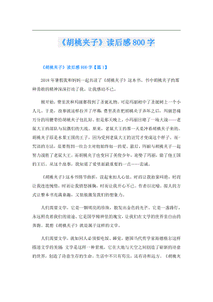 《胡桃夹子》读后感800字.doc
