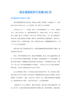 读名著骆驼祥子有感800字.doc