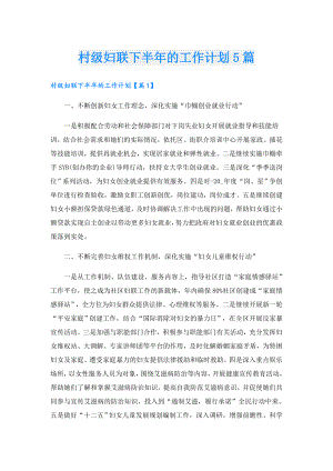 村级妇联下半年的工作计划5篇.doc