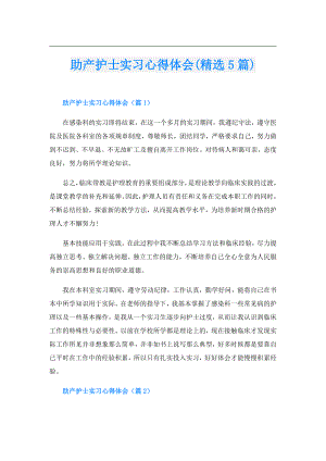 助产护士实习心得体会(精选5篇).doc