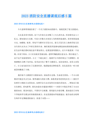 2023消防安全直播课观后感5篇.doc