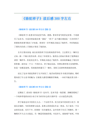 《骆驼祥子》读后感300字左右.doc