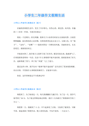 小学生二年级作文假期生活.doc