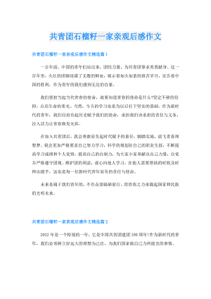 共青团石榴籽一家亲观后感作文.doc