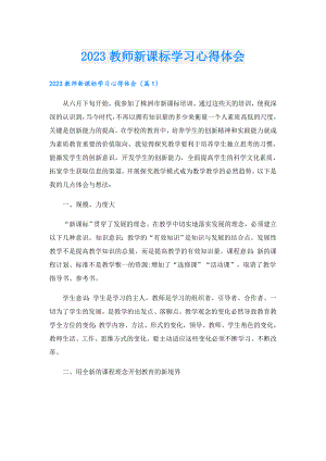 2023教师新课标学习心得体会.doc