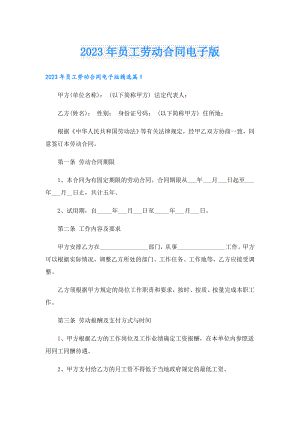 2023年员工劳动合同电子版.doc